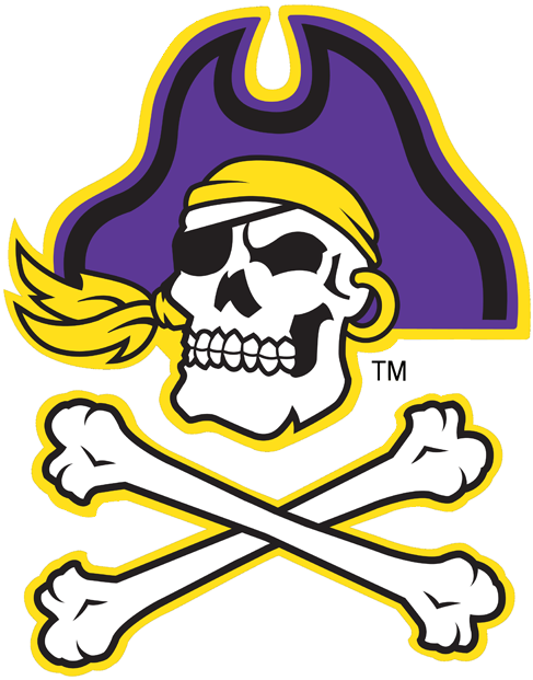 East Carolina Pirates 1999-2013 Alternate Logo diy fabric transfer